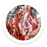 Bursa Kurbanlık Hisse Fiyatları 2021