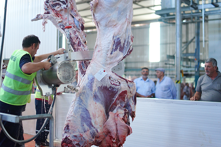 Bursa kurbanlık Eve Terlim Kurban Kesimi